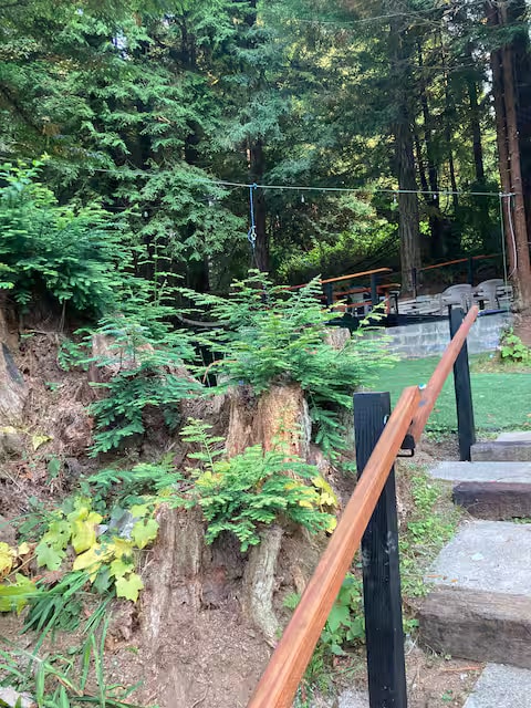 Baywood Redwood Retreat property photo 10