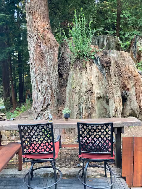 Baywood Redwood Retreat property photo 12