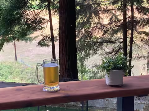 Baywood Redwood Retreat property photo 17